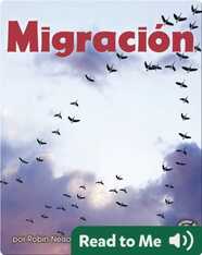 Migración (Migration)