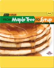 From Maple Tree to Syrup