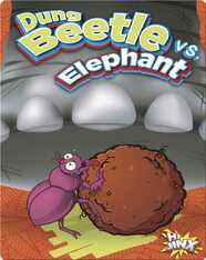 Dung Beetle vs. Elephant