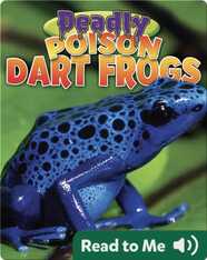 Deadly Poison Dart Frogs