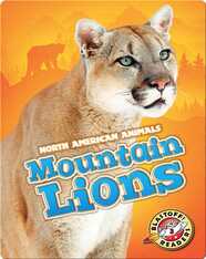 Mountain Lions