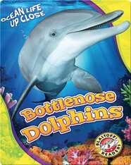 Bottlenose Dolphins