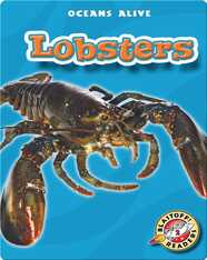 Lobsters