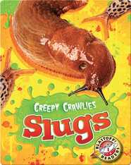 Slugs