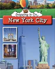 Dropping In On New York City