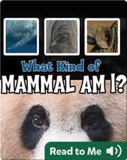 What Kind of Mammal Am I?
