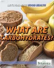 What Are Carbohydrates?