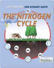 The Nitrogen Cycle