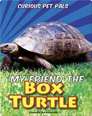 My Friend the Box Turtle