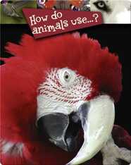 How Do Animals Use…?