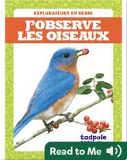 J’observe les oiseaux