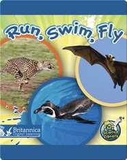 Run, Swim, Fly
