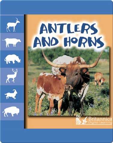 Antlers and Horns book