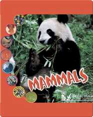 Mammals