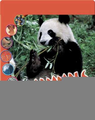 Mammals book