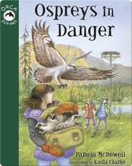 Cricket McKay Book 1: Ospreys in Danger