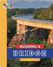 Building a Bridge