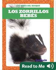 Los zorrillos bebés