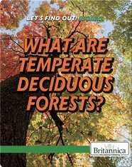 What Are Temperate Deciduous Forests?