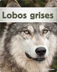 Lobos grises