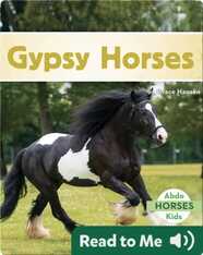 Gypsy Horses