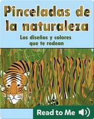 Pinceladas de la Naturalezaq: Los diseños y colores que te rodean