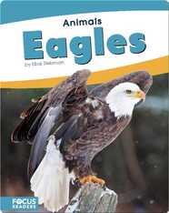 Eagles
