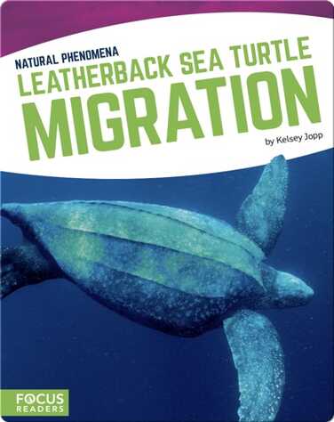 Natural Phenomena: Leatherback Sea Turtle Migration book