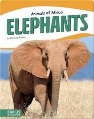 Animals of Africa: Elephants