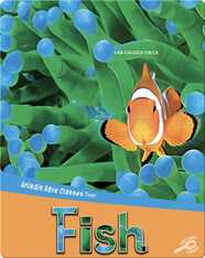 Animals Have Classes Too!: Fish