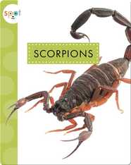 Creepy Crawlies: Scorpions