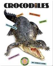 Crocodiles