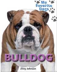 Bulldog