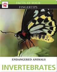 Endangered Animals: Invertebrates