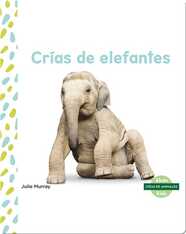 Crías de elefantes