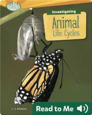 Investigating Animal Life Cycles