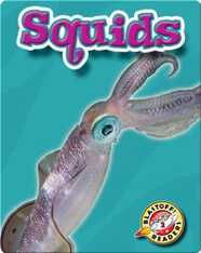 Squids: Oceans Alive