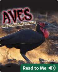 Aves: Espeluznantes Pero Geniales