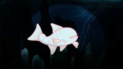 I’m A Cave Fish book