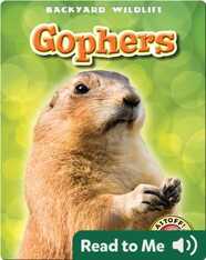 Gophers: Backyard Wildlife