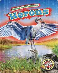 Animals of the Wetlands: Herons