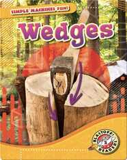 Simple Machines Fun!: Wedges