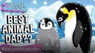 Who’s the Best Dad in the Animal Kingdom? | COLOSSAL QUESTIONS