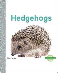 Hedgehogs