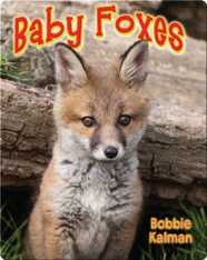 Baby Foxes