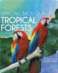 Bringing Back Our Tropical Forests