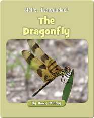 Hello, Everglades!: The Dragonfly