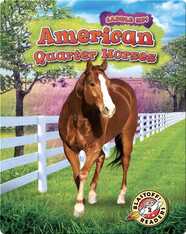 Saddle Up!: American Quarter Horses