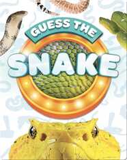 Guess the Snake