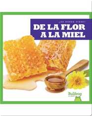 De la flor a la miel (From Flower to Honey)